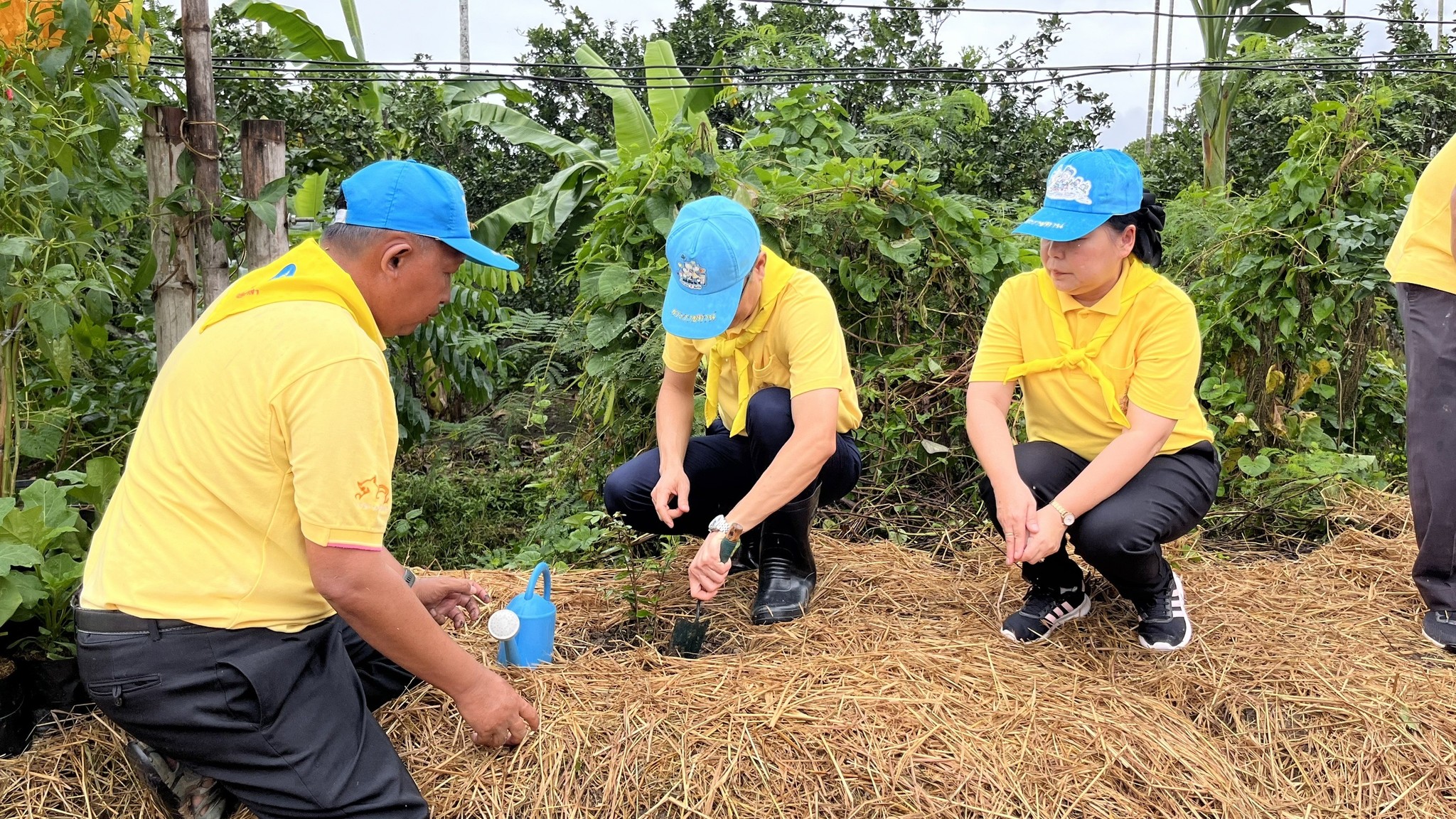 พช.สมุทรสงคราม ดำเนินโครงการการขับเคลื่อนกิจกรรมโคก หนอง นา อารยเกษตร เฉลิมพระเกียรติพระบาทสมเด็จพระเจ้าอยู่หัวเนื่องในโอกาสพระราชพิธีมหามงคลเฉลิมพระชนมพรรษา 6 รอบ 28 กรกฎาคม 2567