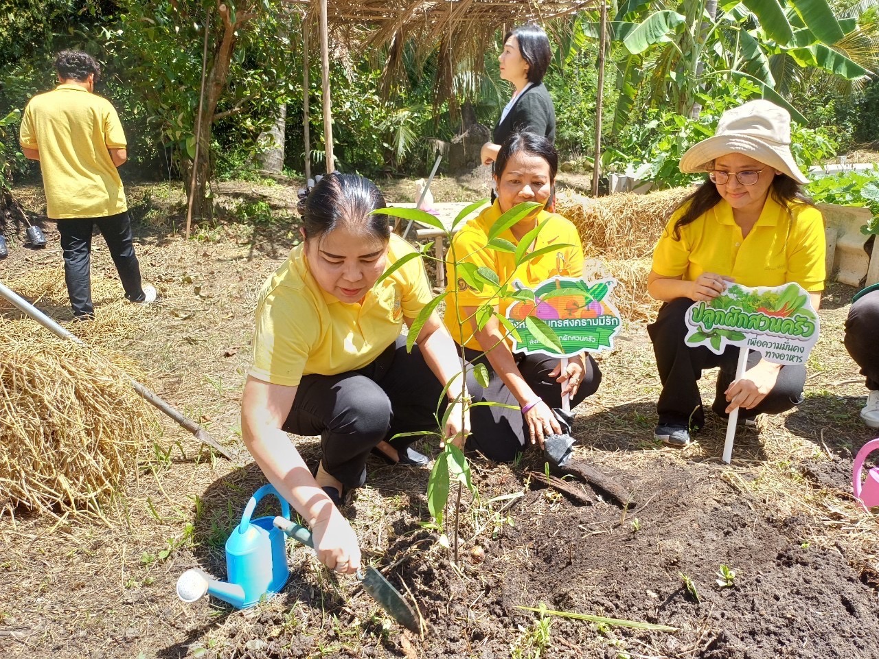 พช.สมุทรสงคราม ดำเนินโครงการส่งเสริมและสนับสนุนกิจกรรมอนุรักษ์พันธุกรรมพืช ตามโครงการอนุรักษ์พันธุกรรมพืชอันเนื่องมาจากพระราชดำริ สมเด็จพระเทพรัตนราชสุดา ฯ สยามบรมราชกุมารี (อพ.สธ.)