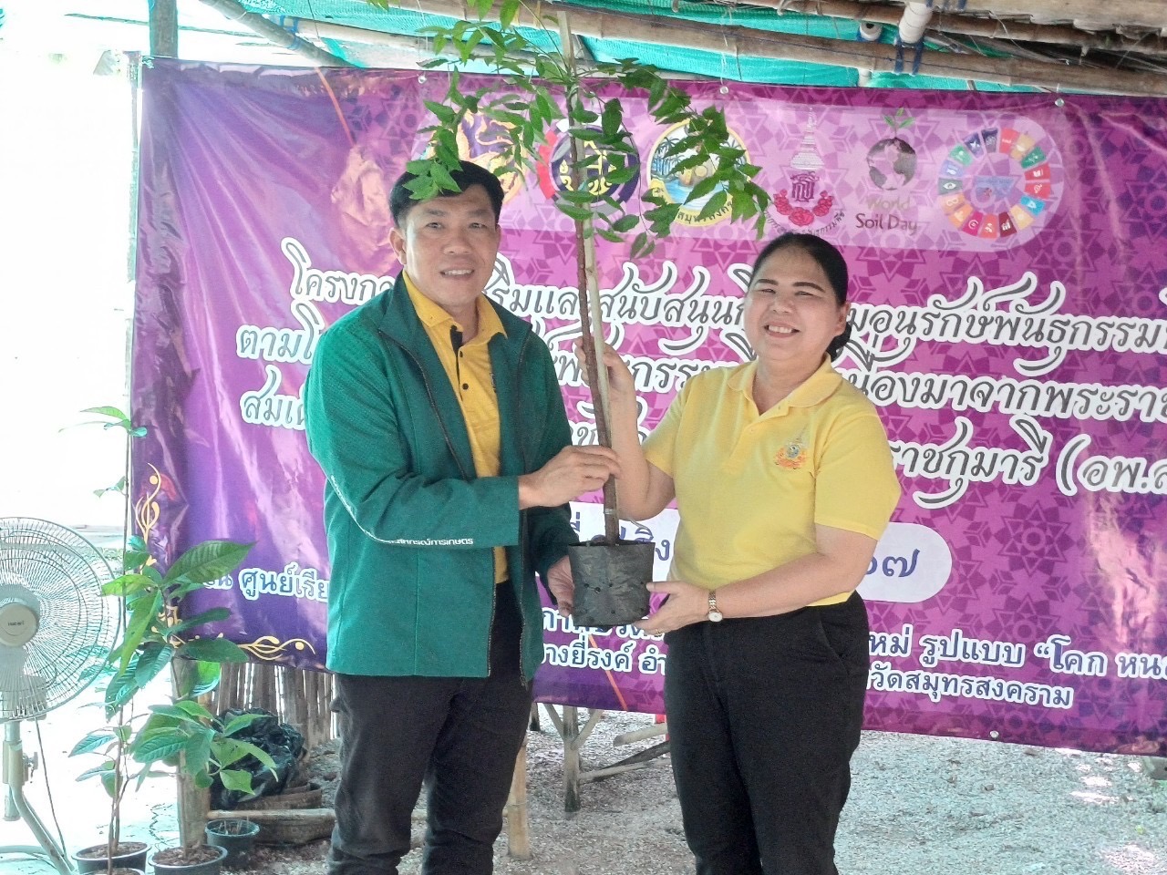 พช.สมุทรสงคราม ดำเนินโครงการส่งเสริมและสนับสนุนกิจกรรมอนุรักษ์พันธุกรรมพืช ตามโครงการอนุรักษ์พันธุกรรมพืชอันเนื่องมาจากพระราชดำริ สมเด็จพระเทพรัตนราชสุดา ฯ สยามบรมราชกุมารี (อพ.สธ.)