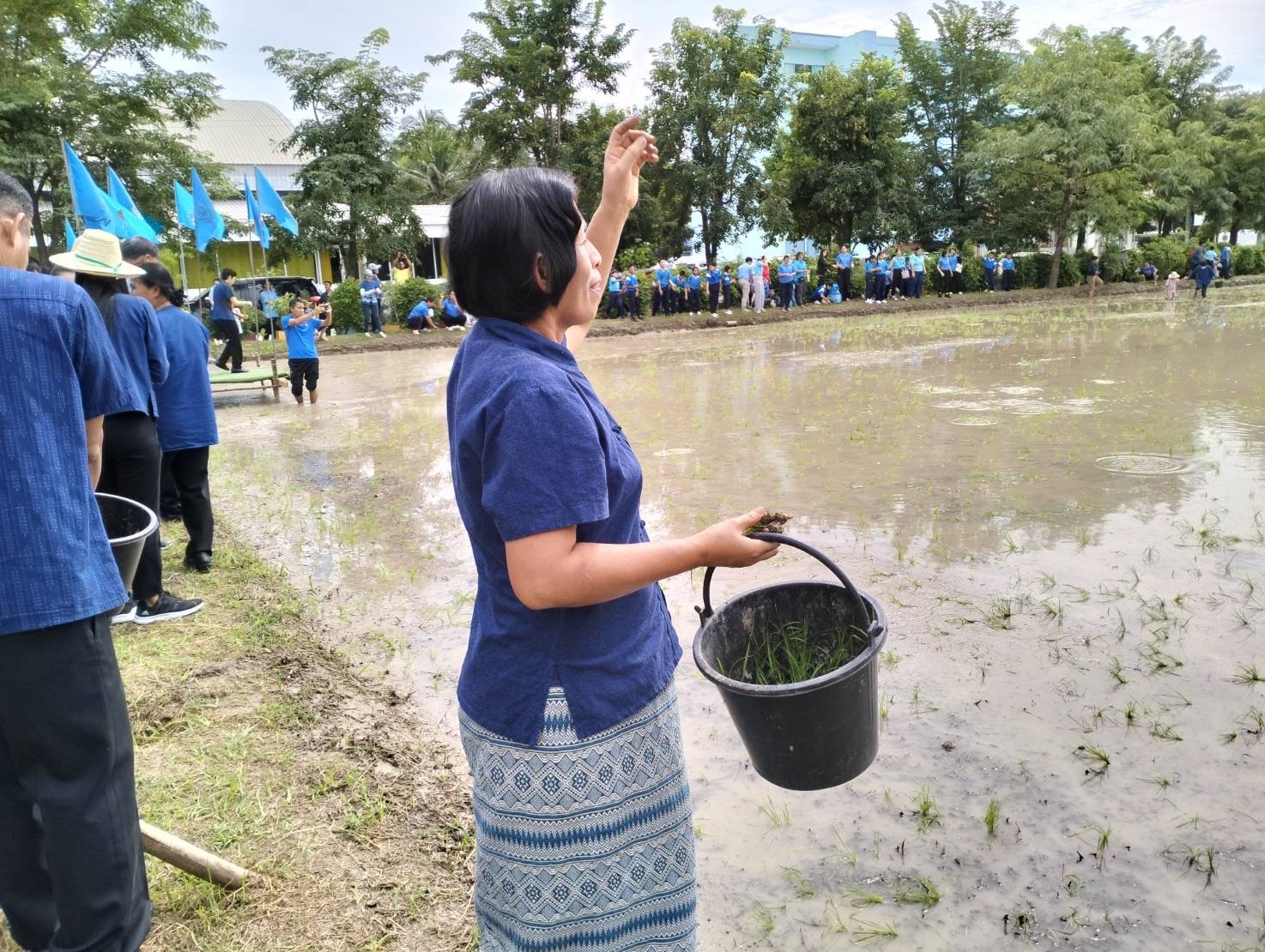 พช.สมุทรสงคราม ร่วมกิจกรรม “ปลูกวันแม่ เกี่ยววันพ่อ สานต่อนาปีนาปันสุข ปลูกข้าวให้น้อง พลังบวร ปี 2567”