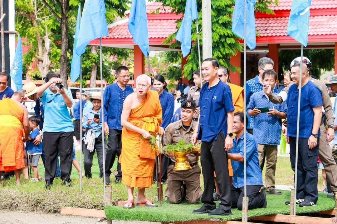พช.สมุทรสงคราม ร่วมกิจกรรม “ปลูกวันแม่ เกี่ยววันพ่อ สานต่อนาปีนาปันสุข ปลูกข้าวให้น้อง พลังบวร ปี 2567”
