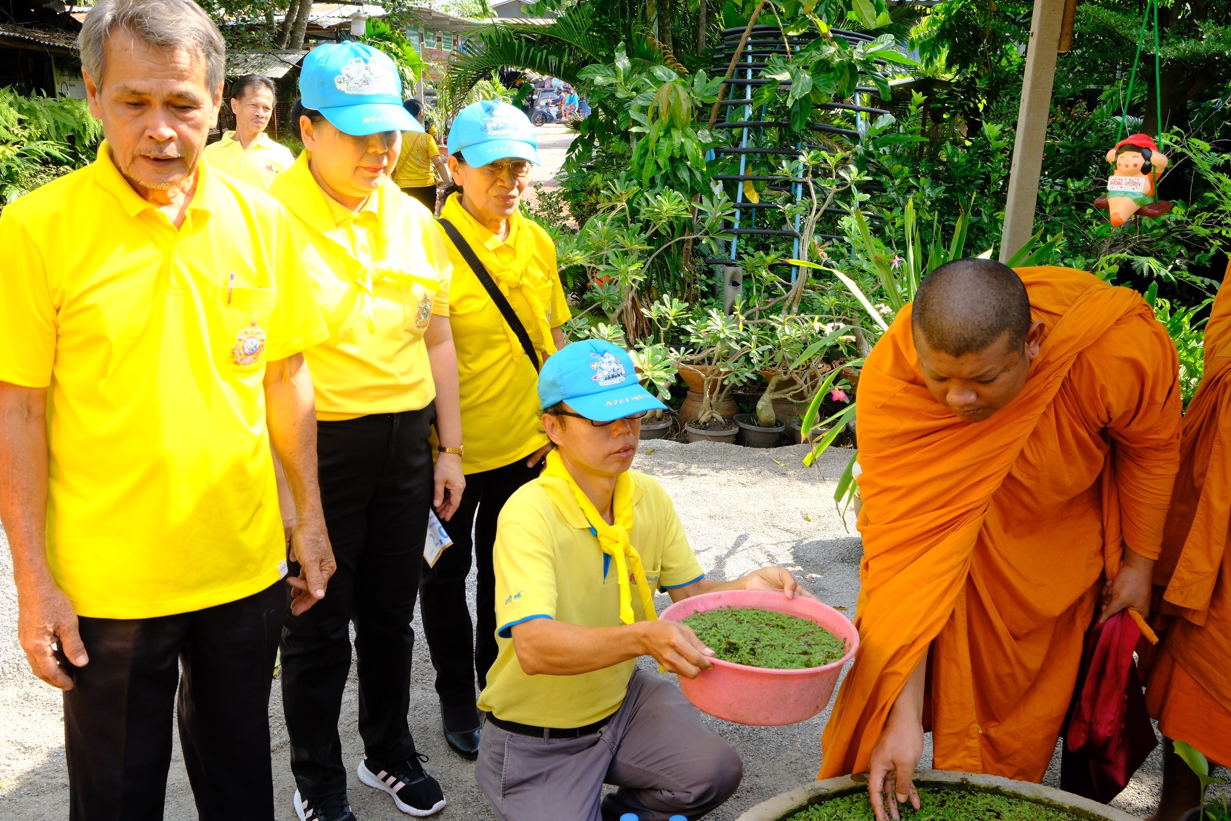 พช.สมุทรสงคราม จัดกิจกรรมวันรักต้นไม้ประจำปีแห่งชาติ ประจำปี พศ.2567 และกิจกรรม “เอามื้อสามัคคี เราทำความดีด้วยหัวใจ ครั้งที่ 32”