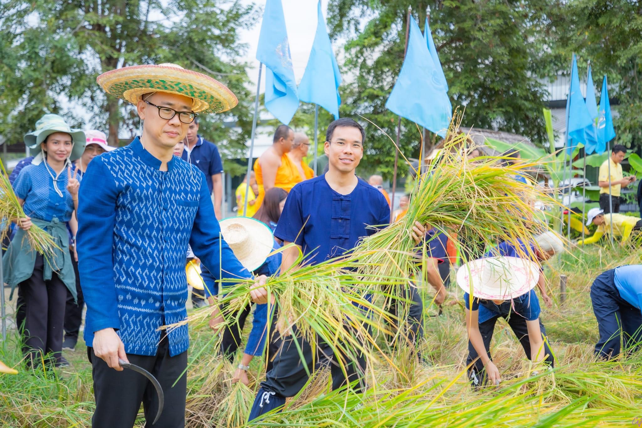 พช.สมุทรสงคราม ร่วมกิจกรรม “ปลูกวันแม่ เกี่ยววันพ่อ สานต่อนาปันสุข ปลูกข้าวให้น้อง พลังบวร” ปี 2567