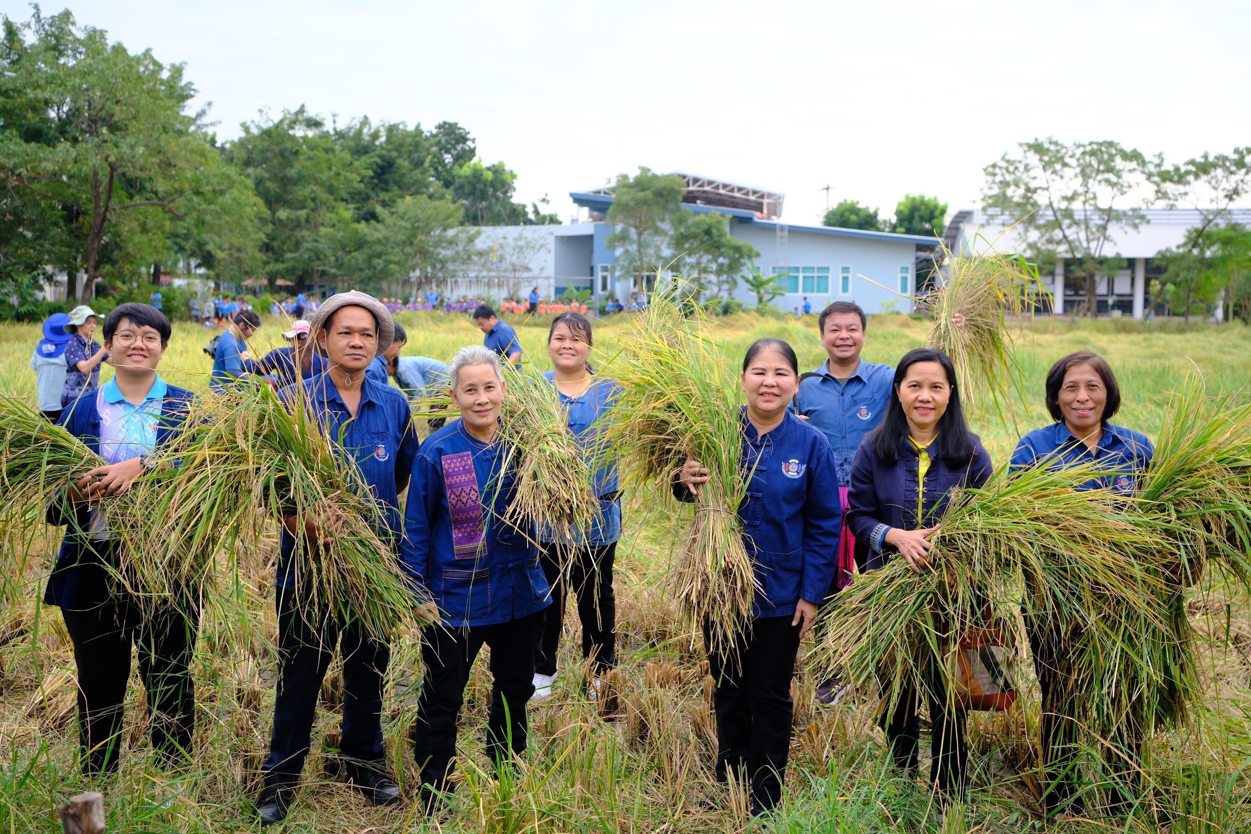 พช.สมุทรสงคราม ร่วมกิจกรรม “ปลูกวันแม่ เกี่ยววันพ่อ สานต่อนาปันสุข ปลูกข้าวให้น้อง พลังบวร” ปี 2567