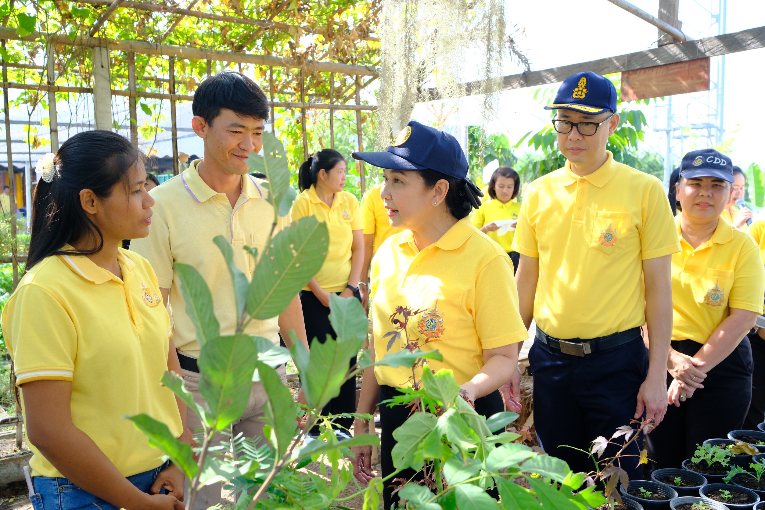 พช.สมุทรสงคราม จัดกิจกรรมเอามื้อสามัคคี “เราทำความดีด้วยหัวใจ“ ครั้งที่ 33 และเนื่องในโอกาสวันดินโลก ประจำปี พ.ศ. 2567