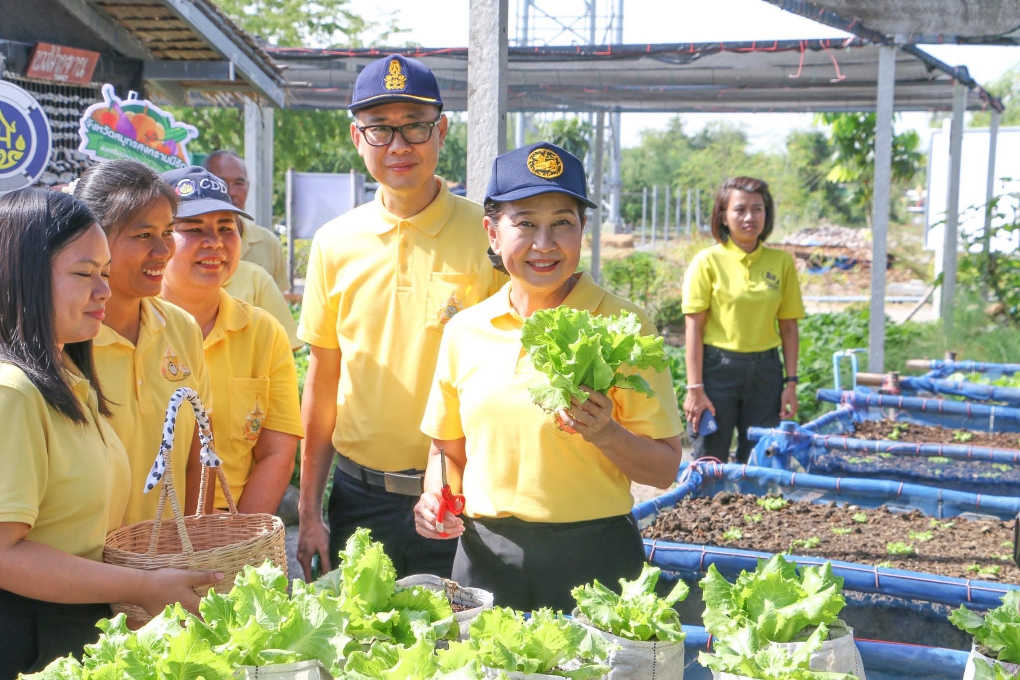 พช.สมุทรสงคราม จัดกิจกรรมเอามื้อสามัคคี “เราทำความดีด้วยหัวใจ“ ครั้งที่ 33 และเนื่องในโอกาสวันดินโลก ประจำปี พ.ศ. 2567