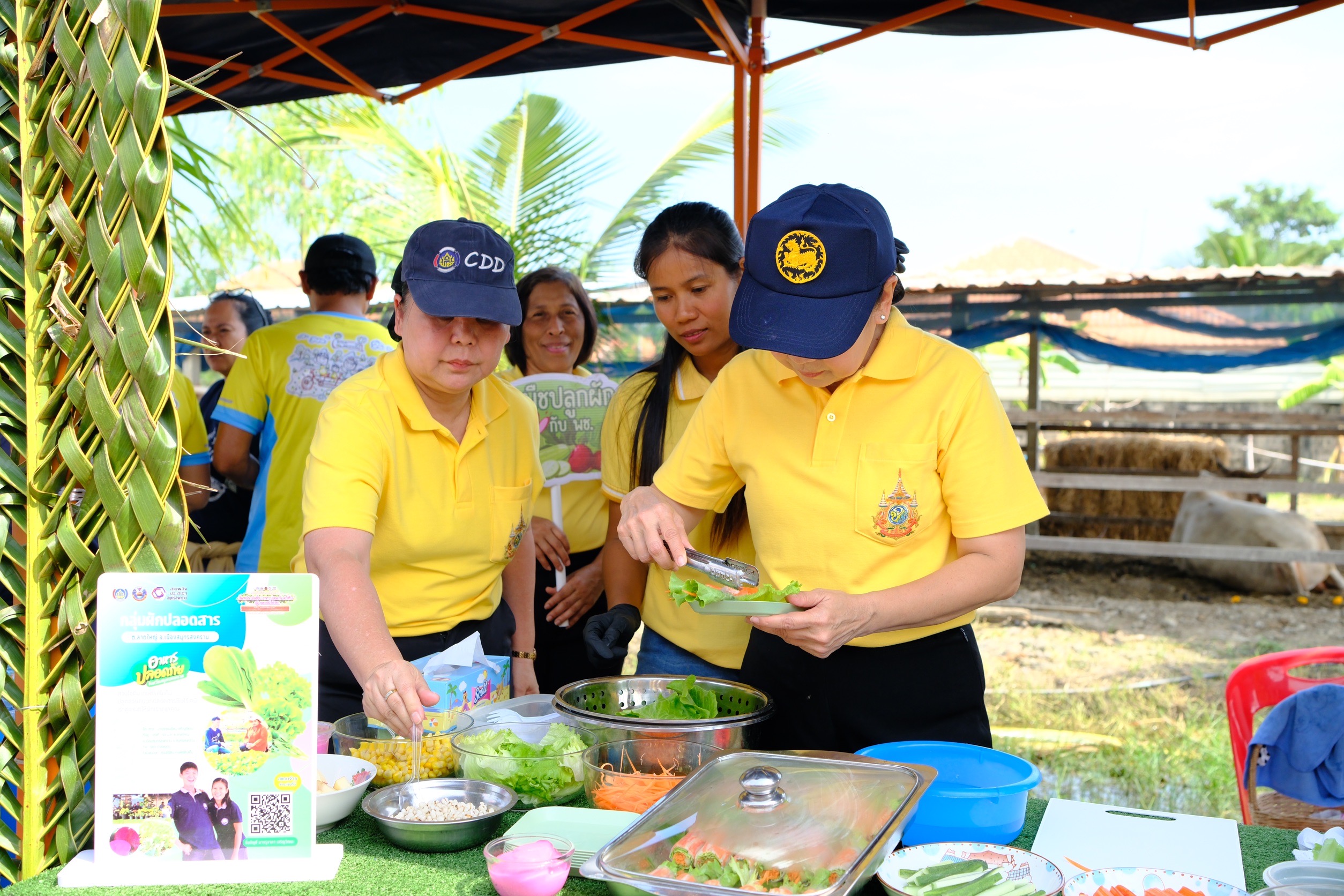 พช.สมุทรสงคราม จัดกิจกรรมเอามื้อสามัคคี “เราทำความดีด้วยหัวใจ“ ครั้งที่ 33 และเนื่องในโอกาสวันดินโลก ประจำปี พ.ศ. 2567