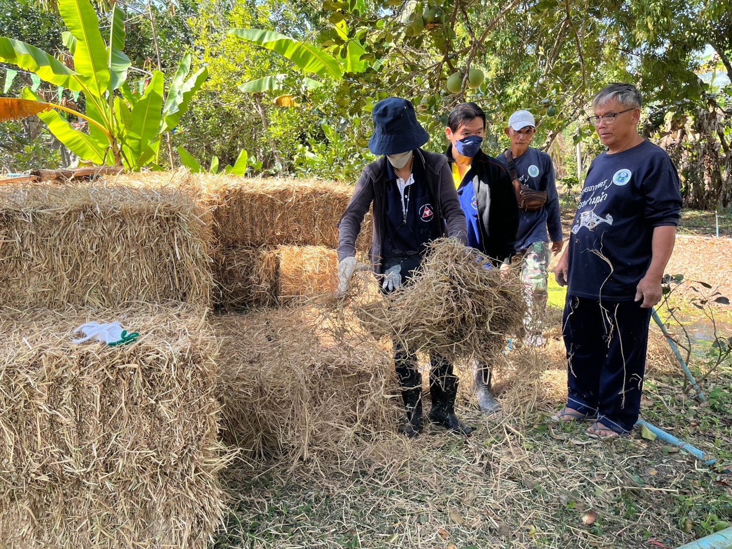 พช.สมุทรสงคราม จัดประชุมเชิงปฏิบัติการสนับสนุนการขับเคลื่อนเครือข่ายศูนย์เรียนรู้การพัฒนาคุณภาพชีวิตตามหลักทฤษฎีใหม่ประยุกต์สู่ “โคก หนอง นา” ระดับจังหวัด