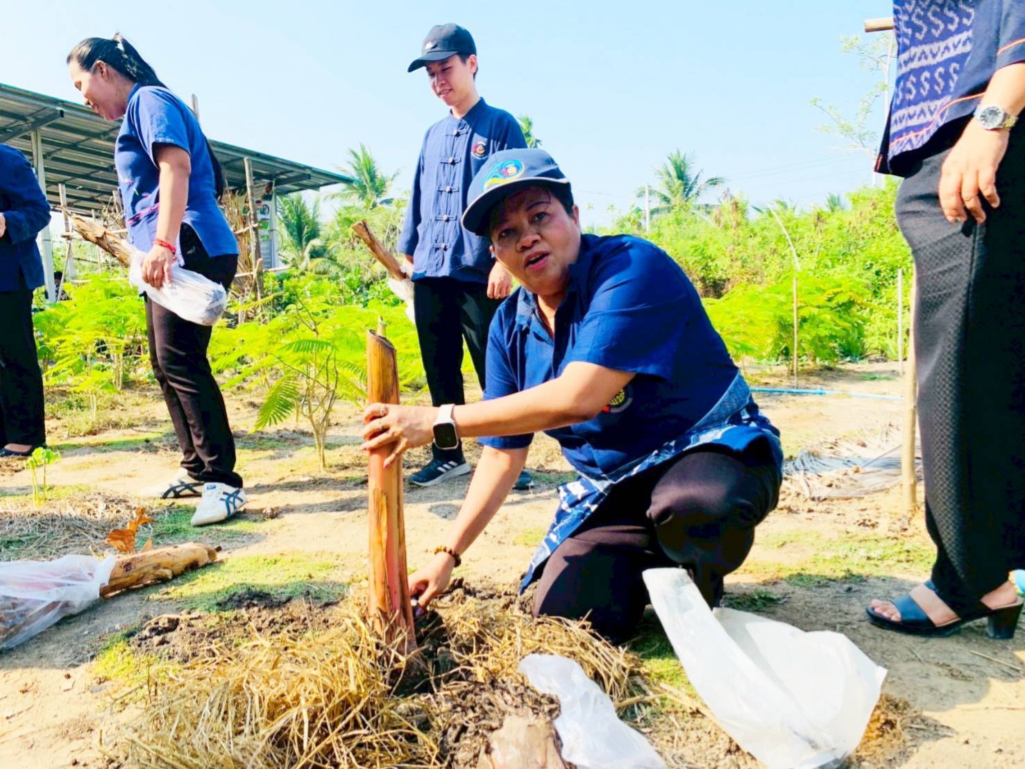 พช.สมุทรสงคราม ร่วมกับเครือข่ายกสิกรรมธรรมชาติและโคก หนอง นา จังหวัดสมุทรสงคราม จัดกิจกรรม “เอามื้อสามัคคี เราทำความดีด้วยหัวใจ ครั้ง 35”