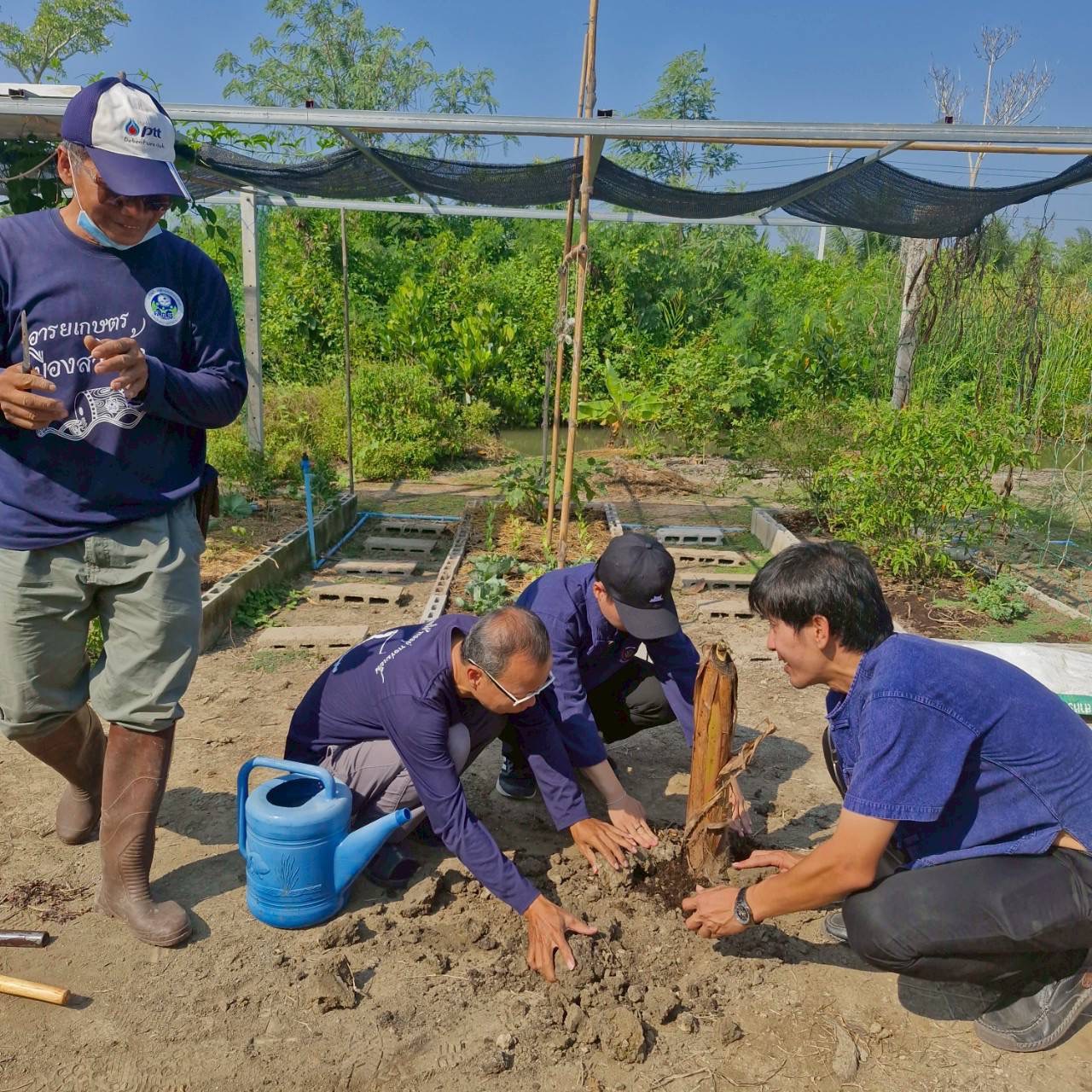 พช.สมุทรสงคราม ร่วมกับเครือข่ายกสิกรรมธรรมชาติและโคก หนอง นา จังหวัดสมุทรสงคราม จัดกิจกรรม “เอามื้อสามัคคี เราทำความดีด้วยหัวใจ ครั้ง 35”