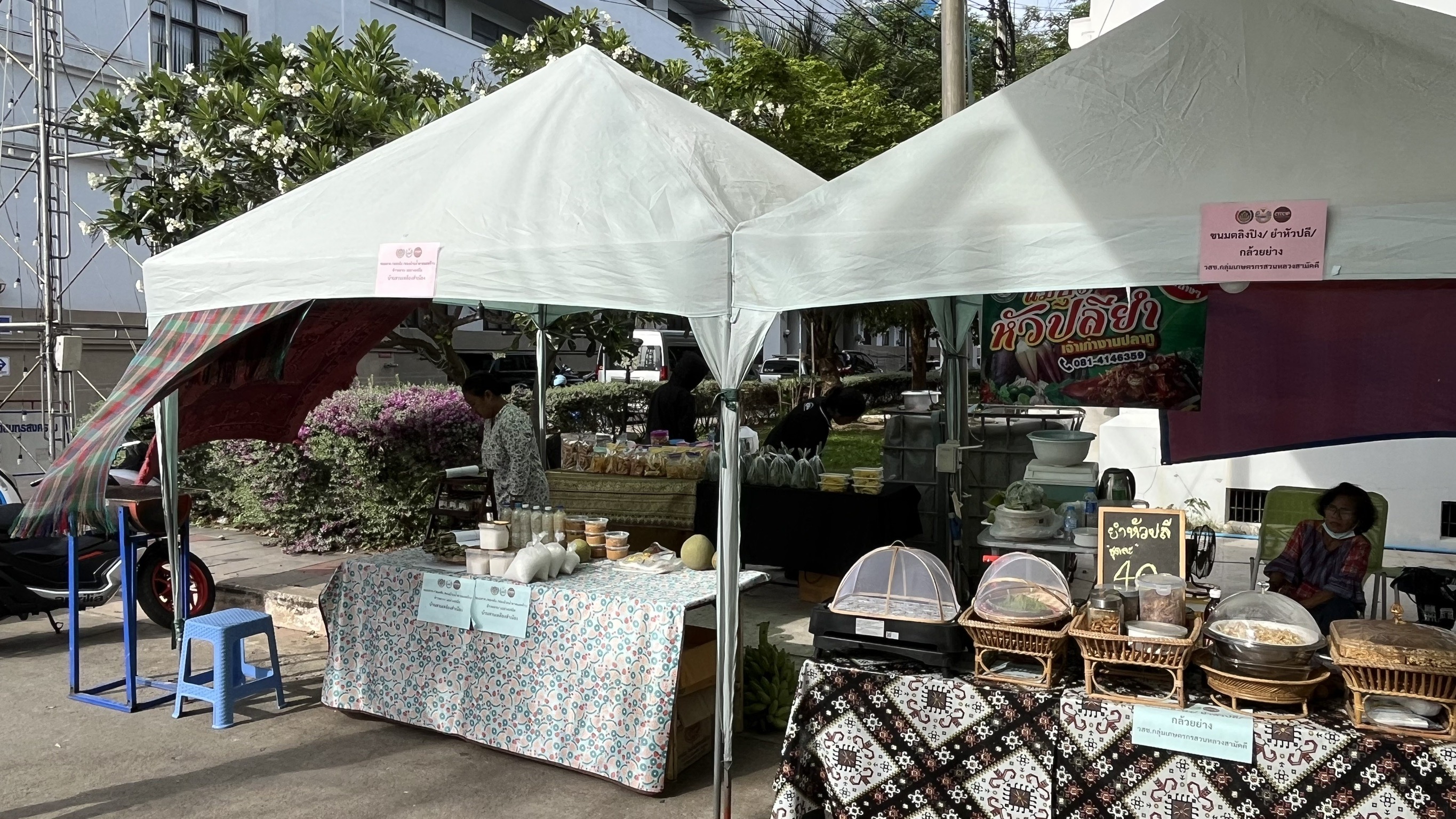 พช.สมุทรสงคราม ร่วมพิธีเปิด “สืบสานประเพณ๊วัฒนธรรมลุ่มน้ำแม่กลองของดีเมืองสามน้ำ และงานกาชาดจังหวัดสมุทรสงคราม ประจำปี 2568”