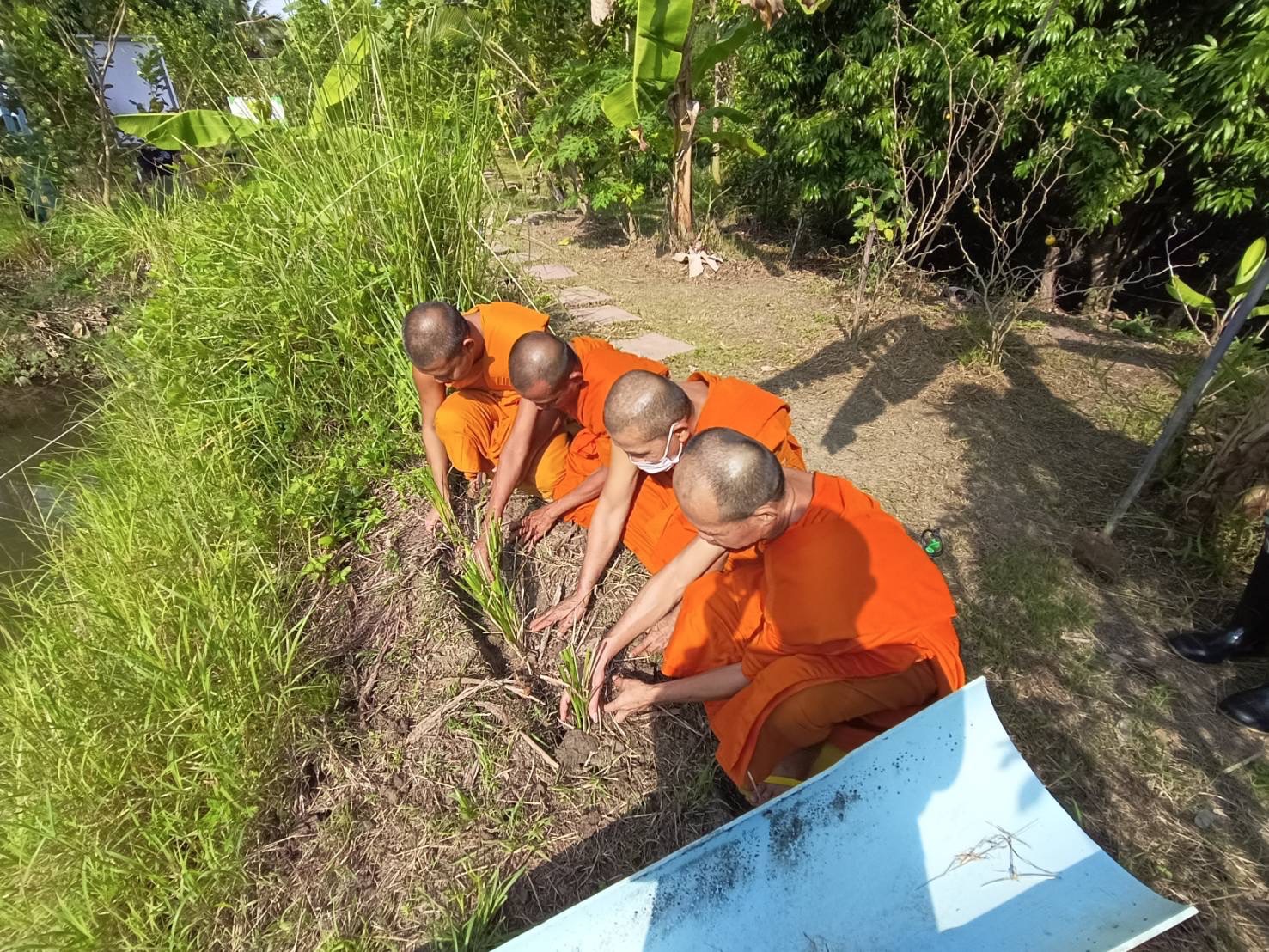 จังหวัดสมุทรสงคราม จัดกิจกรรม “เอามื้อสามัคคี เราทำความดีด้วยหัวใจ ครั้งที่ 36”