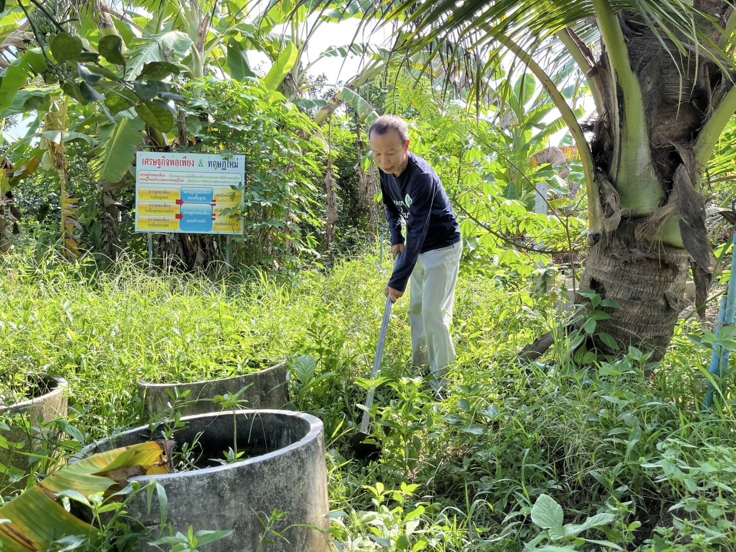 จังหวัดสมุทรสงคราม จัดกิจกรรม “เอามื้อสามัคคี เราทำความดีด้วยหัวใจ ครั้งที่ 36”