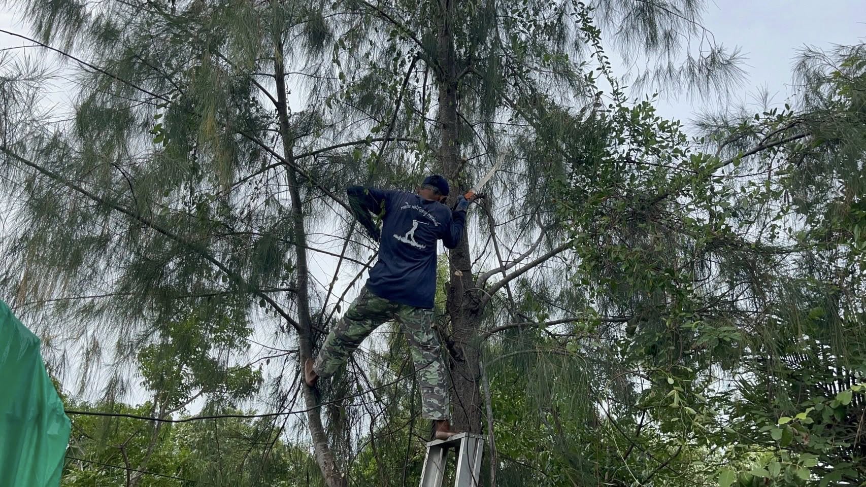 จังหวัดสมุทรสงคราม จัดกิจกรรม “เอามื้อสามัคคี เราทำความดีด้วยหัวใจ ครั้งที่ 37”